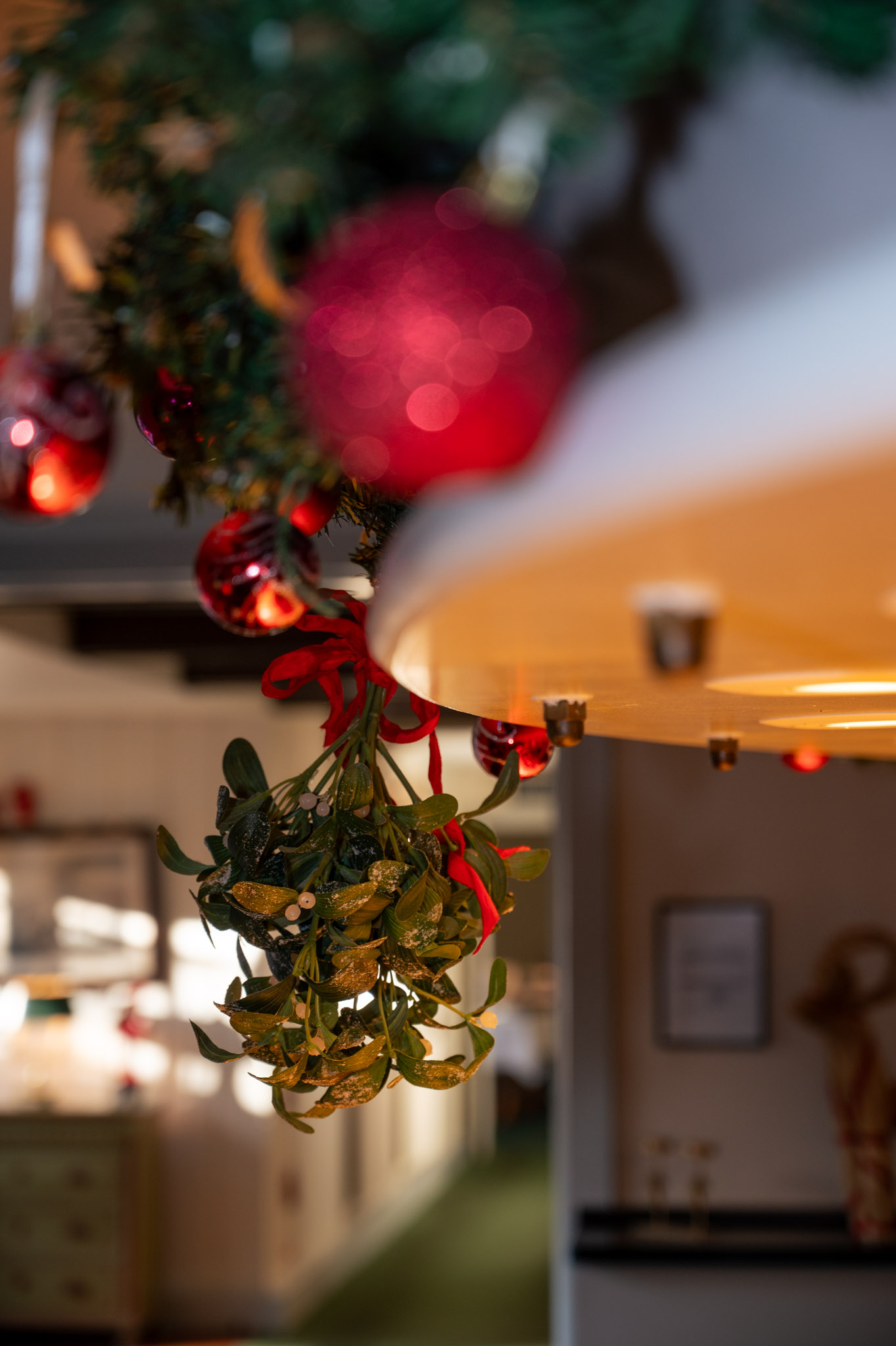 Restaurant De Hvide Svaner — billede 32